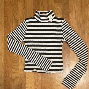 Aerie Striped Black and White Turtleneck Sweater